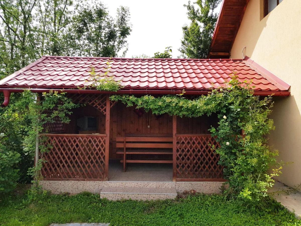 Pensiunea Dana Horezu Zewnętrze zdjęcie